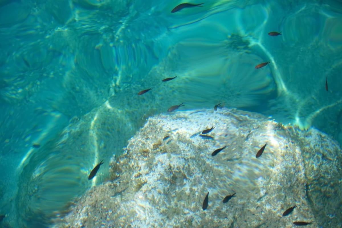Seaview Luxury Villa Jacuzzi & Pool! 2 Min Beach Protaras Buitenkant foto